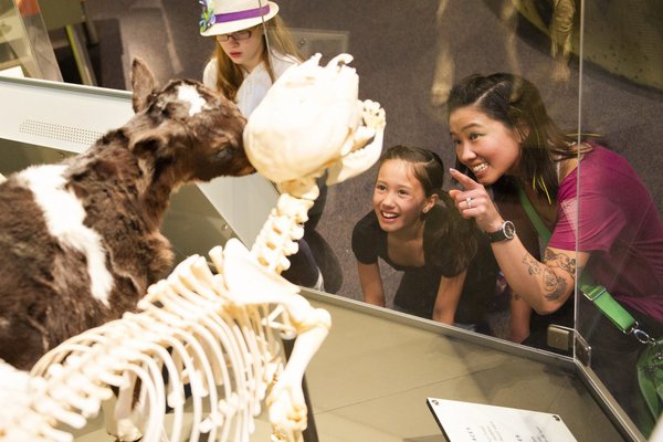 The Science of Ripley's Believe it or Not!