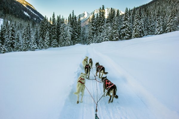 Jasper - Destination - Winter activities