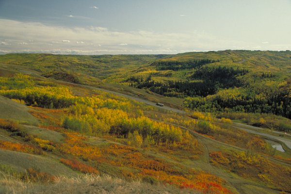 peace river fall scene